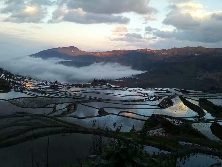 Green Hostel & Sunny Guesthouse Yuanyang  Eksteriør billede
