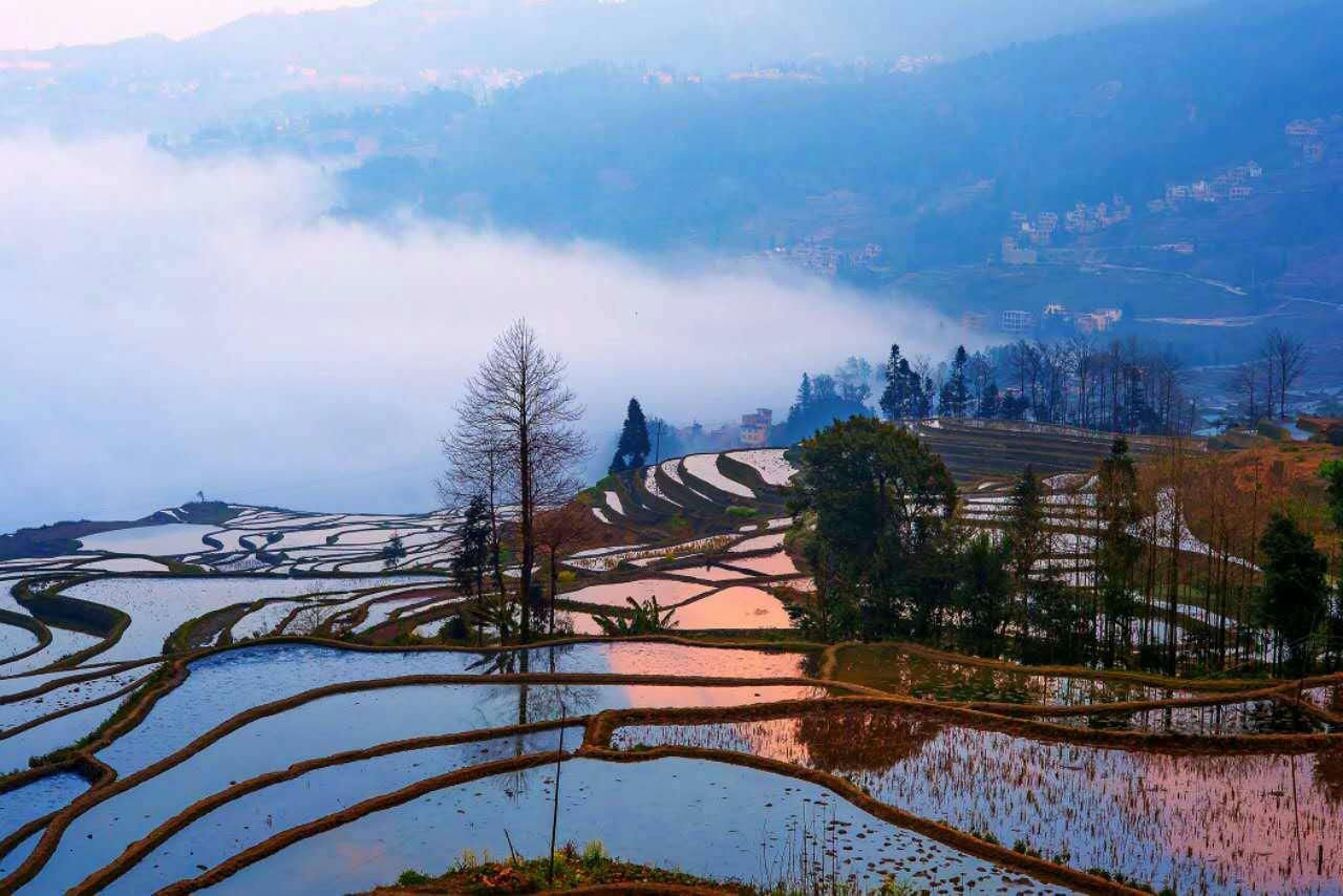 Green Hostel & Sunny Guesthouse Yuanyang  Eksteriør billede